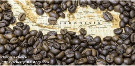 인도네시아 커피의 분류 방식